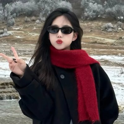 傻人巧破走私党